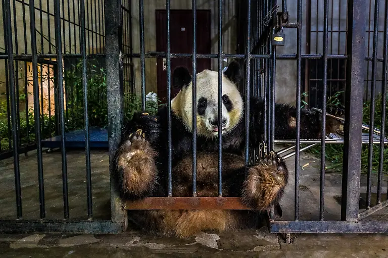 NICHT-VERWENDEN179480