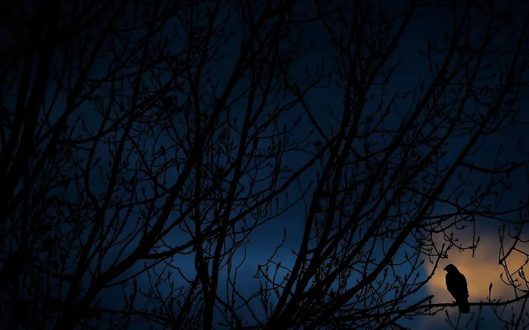 NICHT-VERWENDEN171409