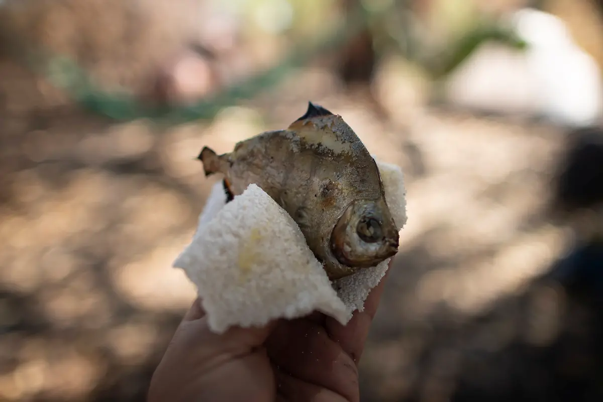 manioc-bread-and-fish