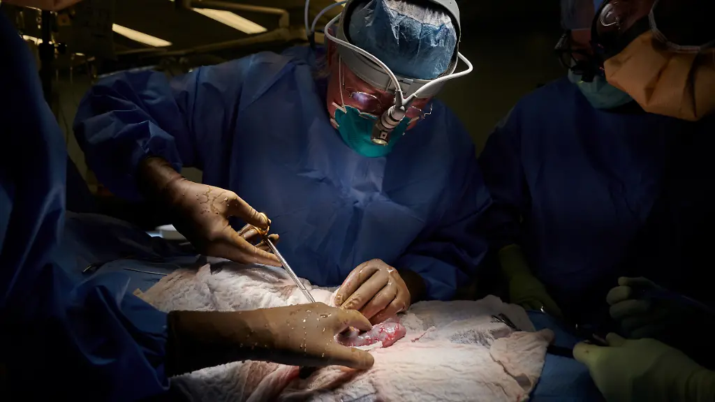 053edfbcef7fa60ece0c9bd4fdb8a7a8