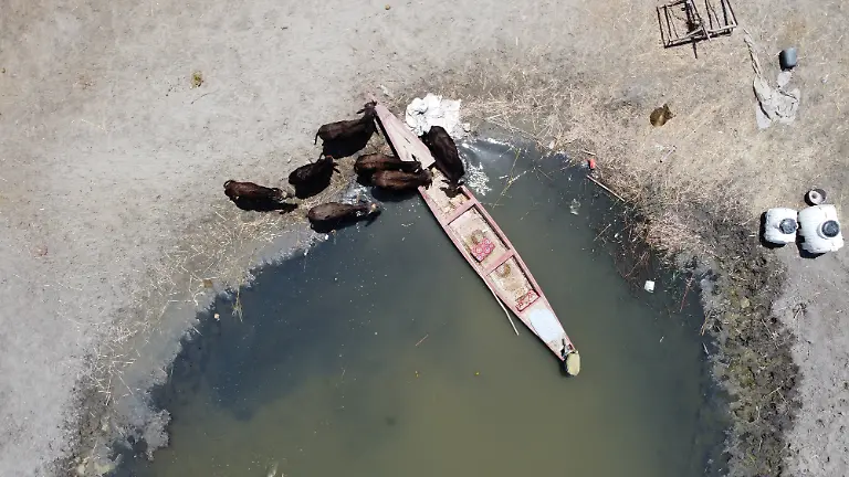 2021-10-14T070107Z-2053331846-RC2NFO99TL0P-RTRMADP-3-CLIMATE-CHANGE-IRAQ-MARSHES