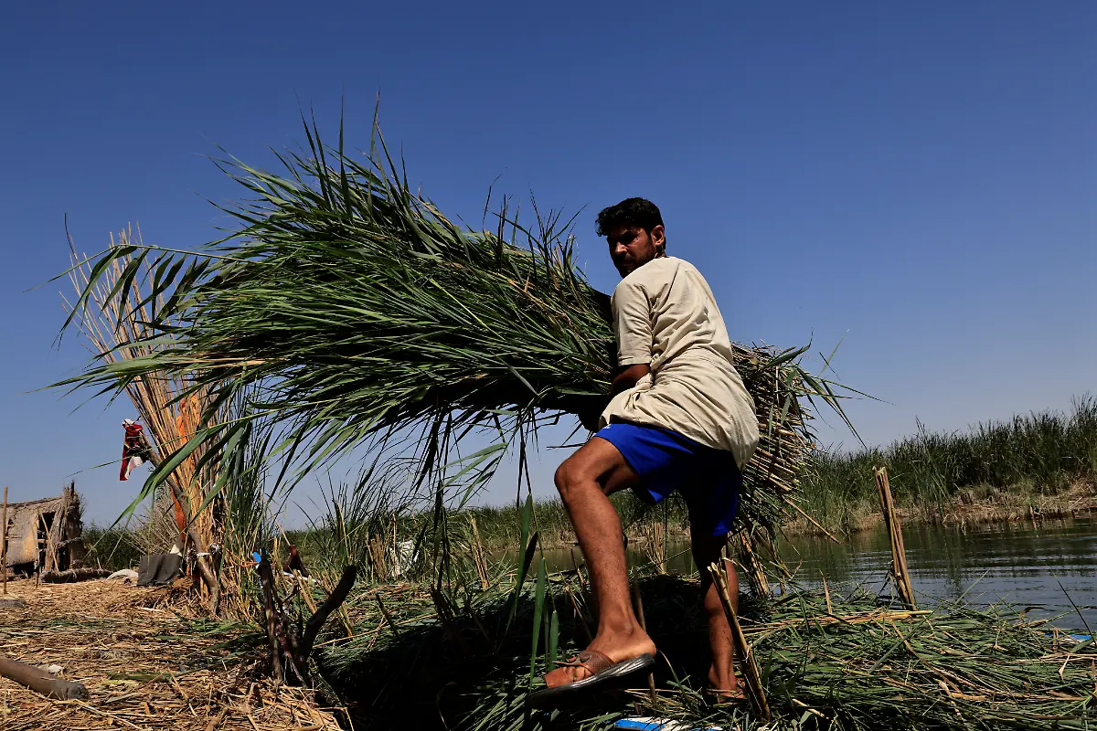 Sabah-Thamer-al-Baher4