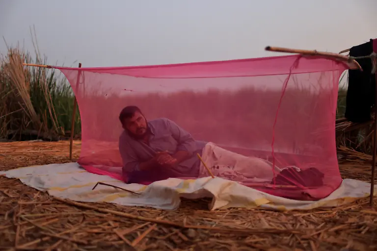 Mohammed-Thamer-Al-Baher2