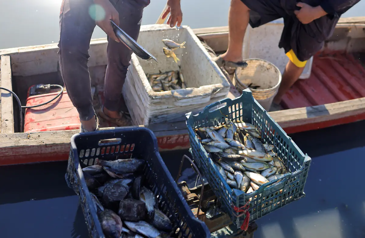 2021-10-14T070206Z-54497660-RC2J5P9IONO4-RTRMADP-3-CLIMATE-CHANGE-IRAQ-MARSHES