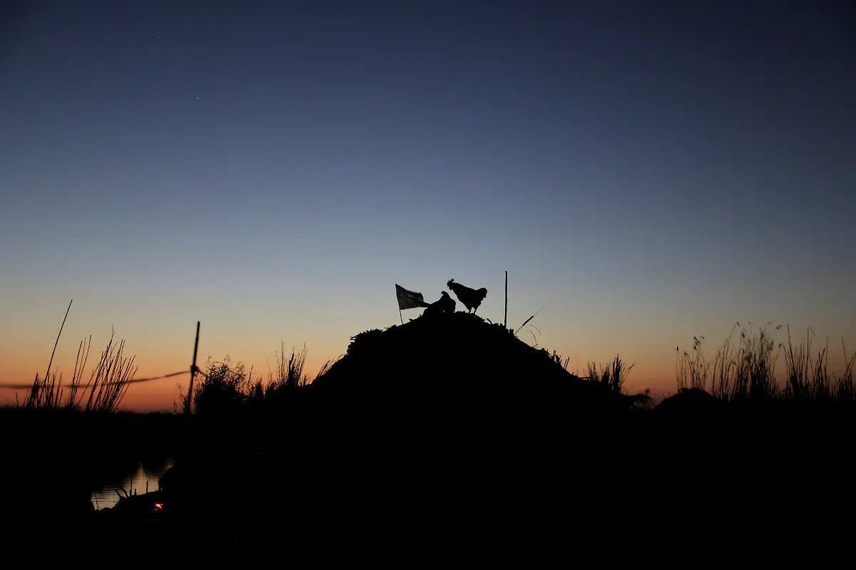 2021-10-14T070228Z-532634028-RC2G5P9A5AP4-RTRMADP-3-CLIMATE-CHANGE-IRAQ-MARSHES