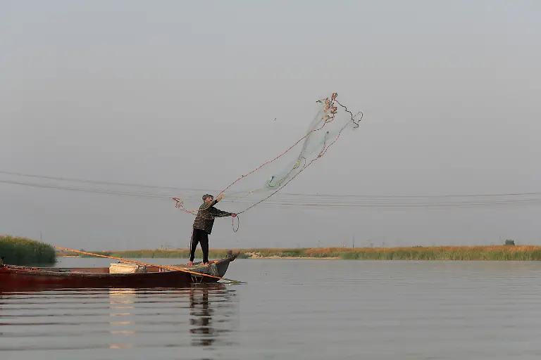 2021-10-14T070220Z-294971238-RC2QBP9WL11W-RTRMADP-3-CLIMATE-CHANGE-IRAQ-MARSHES