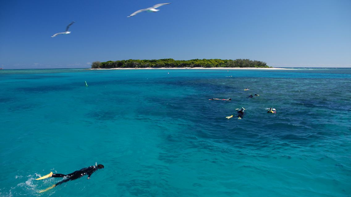 Schnorcheln im Schutz der Lagune: Lady Musgrave Island liegt etwa 60 Kilometer vor der Küste von Queensland im Süden des Great Barrier Reefs.