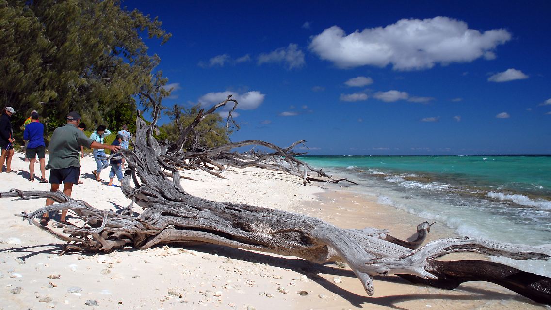 Auf der Suche nach dem Robinson-Gefühl: Lady Musgrave Island ist unbewohnt - aber jeden Tag kommen Touristen vom Festland herüber.