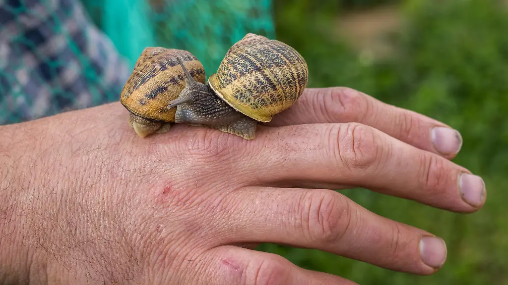 4a180a9f52a5a9cf4996f97c885f7cfa