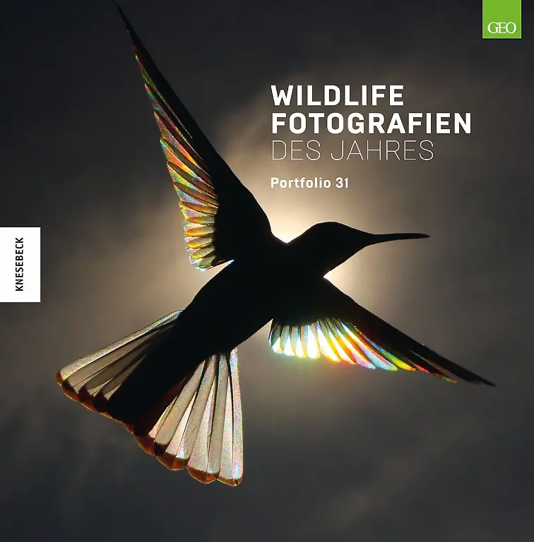 508-9-cover-wildlife-portfolio-31-2d-final-WEB