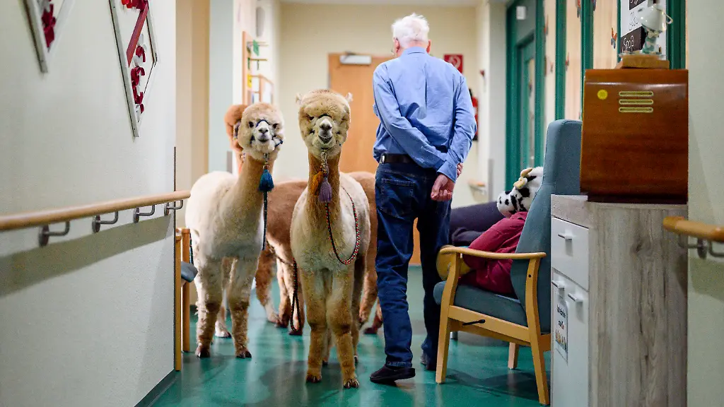 1339a27870aeff44dad800fc8e9854f3