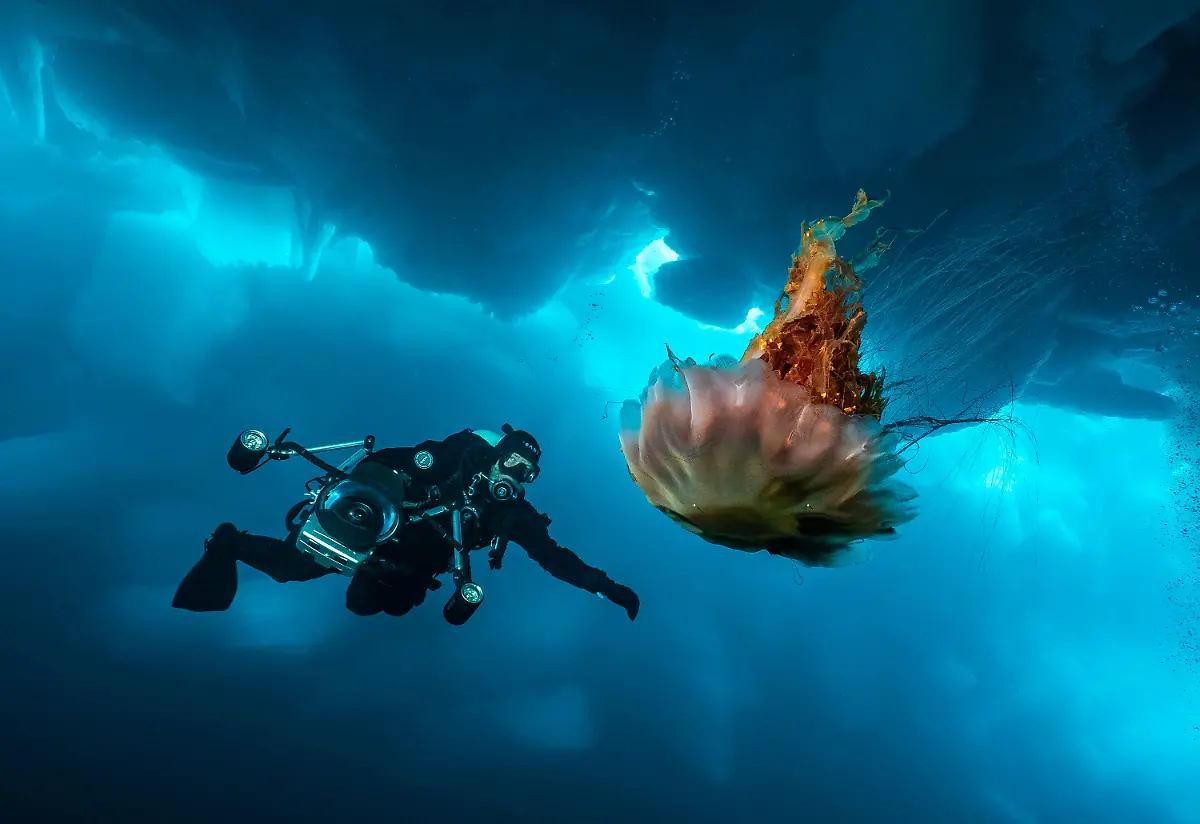 32-iceberg-Leidenschaft-Ozean