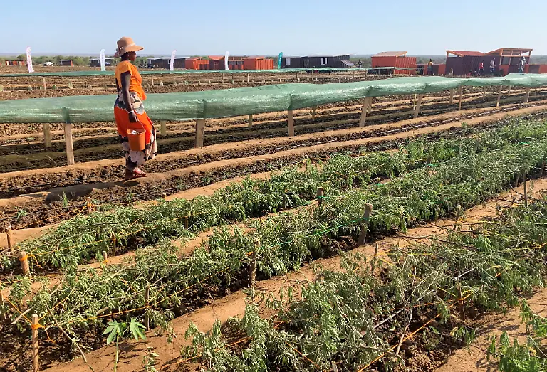 2021-10-11T070049Z-230889804-RC2C0Q92RXHU-RTRMADP-3-CLIMATE-CHANGE-MADAGASCAR-FAMINE