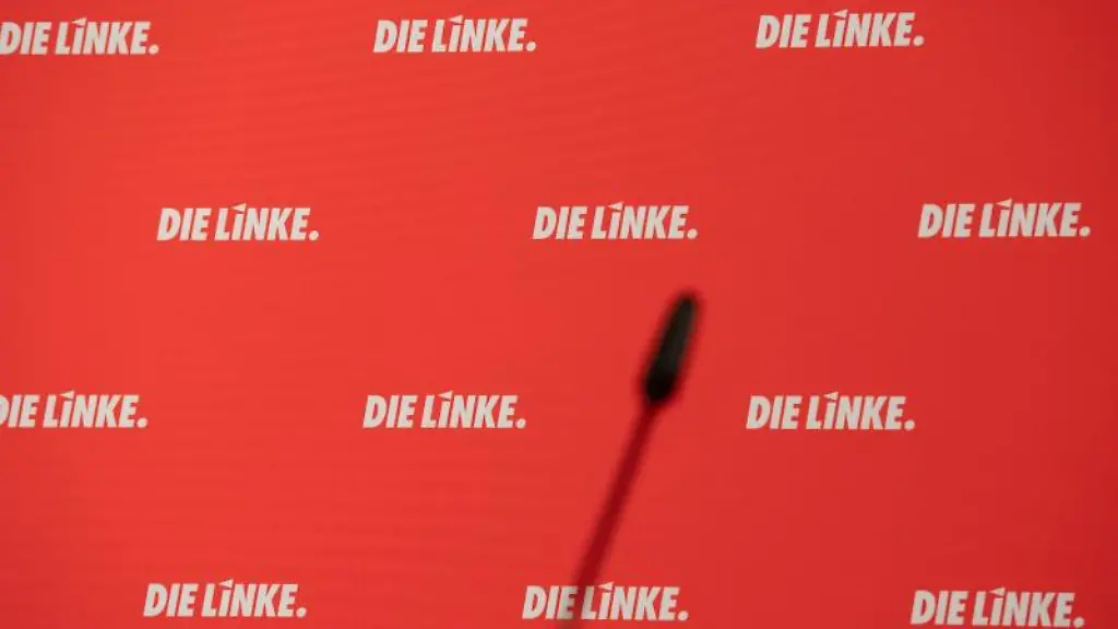 Die-Linke-steht-auf-einer-Stellwand-hinter-einem-Mikrophone