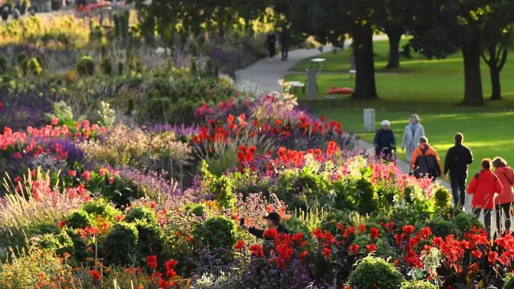 Herbstliche-Farbenpracht-mit-Graesern-im-Grossen-Blumenbeet-auf-dem-Gelaende-der-Buga-im-Egapark