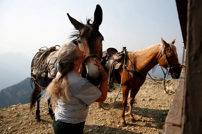 amsara-Duffey-pets-Jumper-the-pack-mule