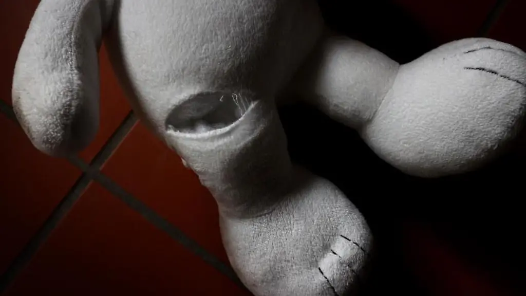 Ein-Stofftier-liegt-auf-dem-Fussboden-einer-Wohnung