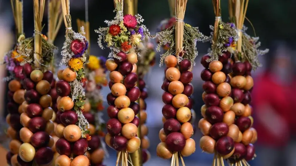 Zwiebelzoepfe-haengen-an-einem-Marktstand
