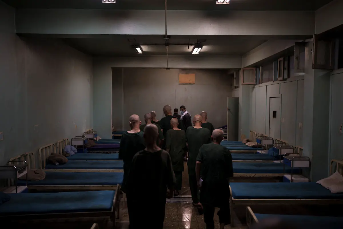 09edd5272c3663da5d3bf6e579d5ab3c