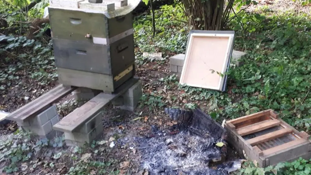 Zwei-Bienenkaesten-sind-verwuestet-worden