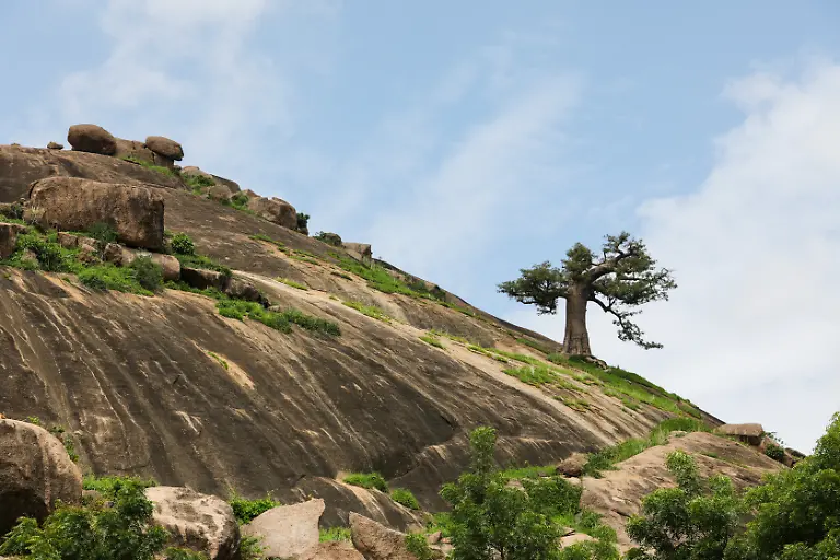 2021-08-18T091055Z-1331471976-RC29QO94YEOB-RTRMADP-3-NIGERIA-TRADITION-HYENAS