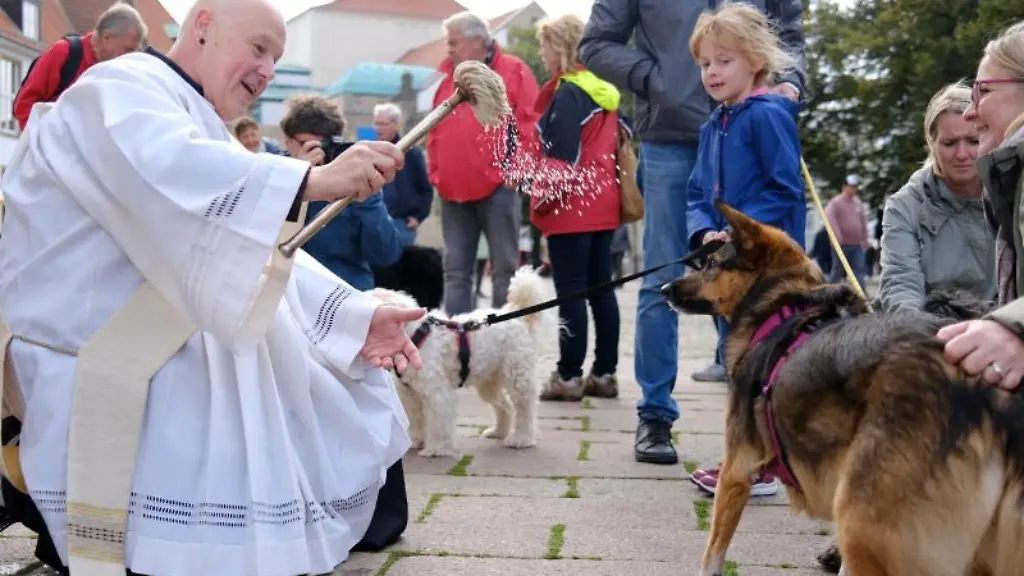 Diakon-Carsten-Lehmann-segnet-Huendin-Mia-vor-dem-Dom