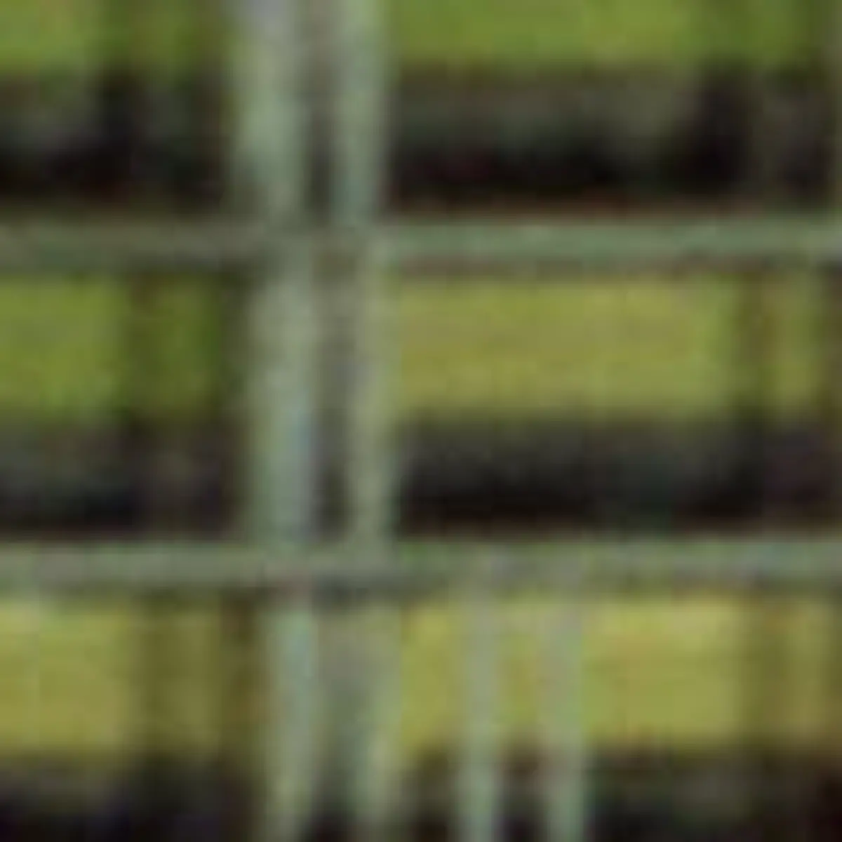 imago0000263201h