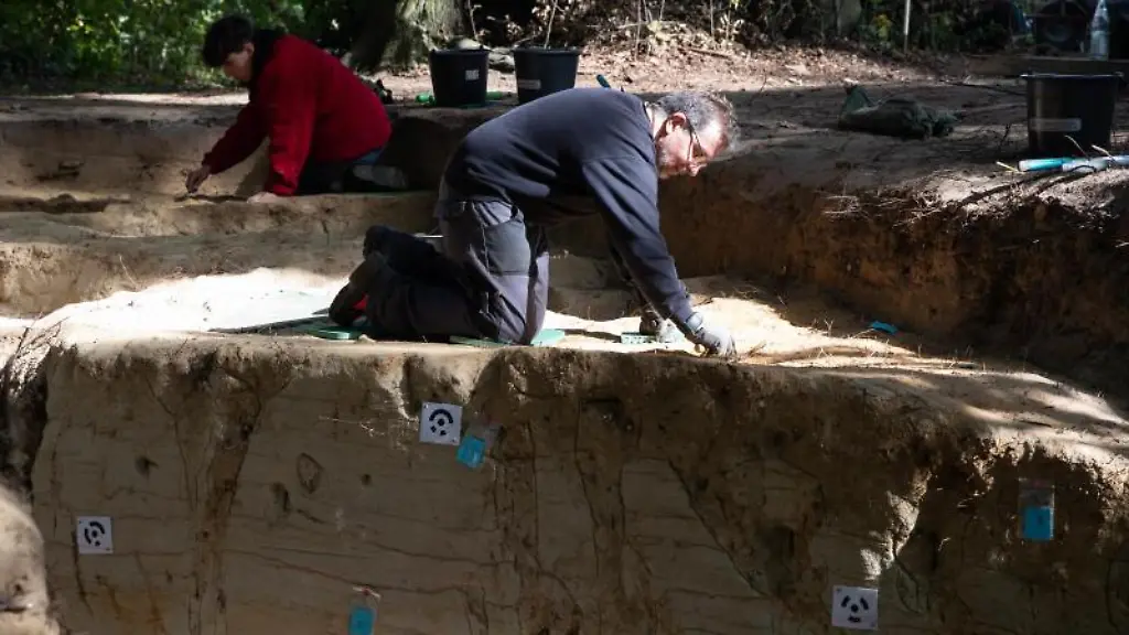 Im-Laufe-der-Jahre-kamen-bei-Grabungen-an-unterschiedlichen-Stellen-im-Museumspark-Waelle-und-Graeben-zu-Tage