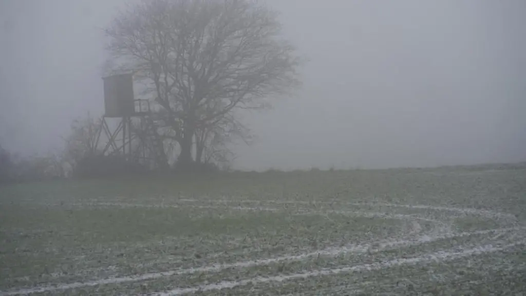 Ein-Baum-steht-im-Nebel-auf-einem-Feld