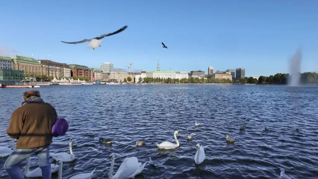 In-der-Morgensonne-fuettert-ein-Passant-die-Voegel-an-der-Binnen-Alster-in-Hamburg