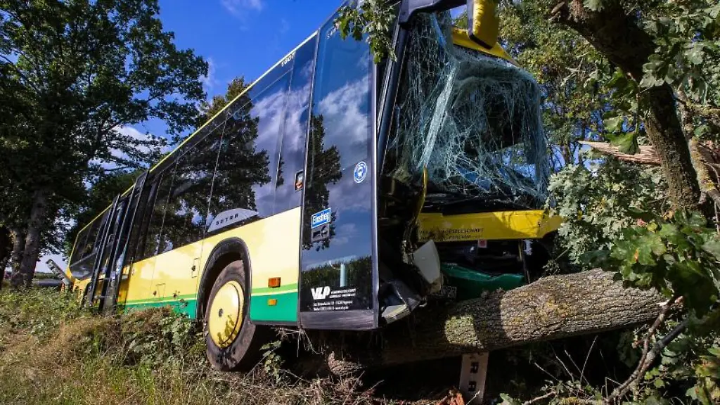 Nach-einem-Busunfall-bei-Plate-steht-das-beschaedigte-Fahrzeug-im-Strassengraben