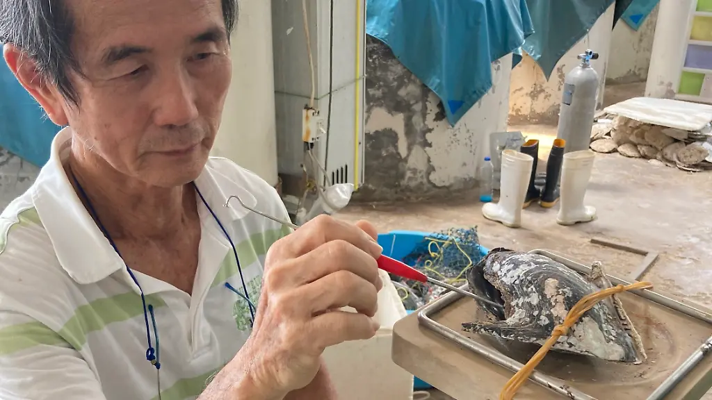 8d0f6ea14a50b6ebc9f8ccd67c51166c