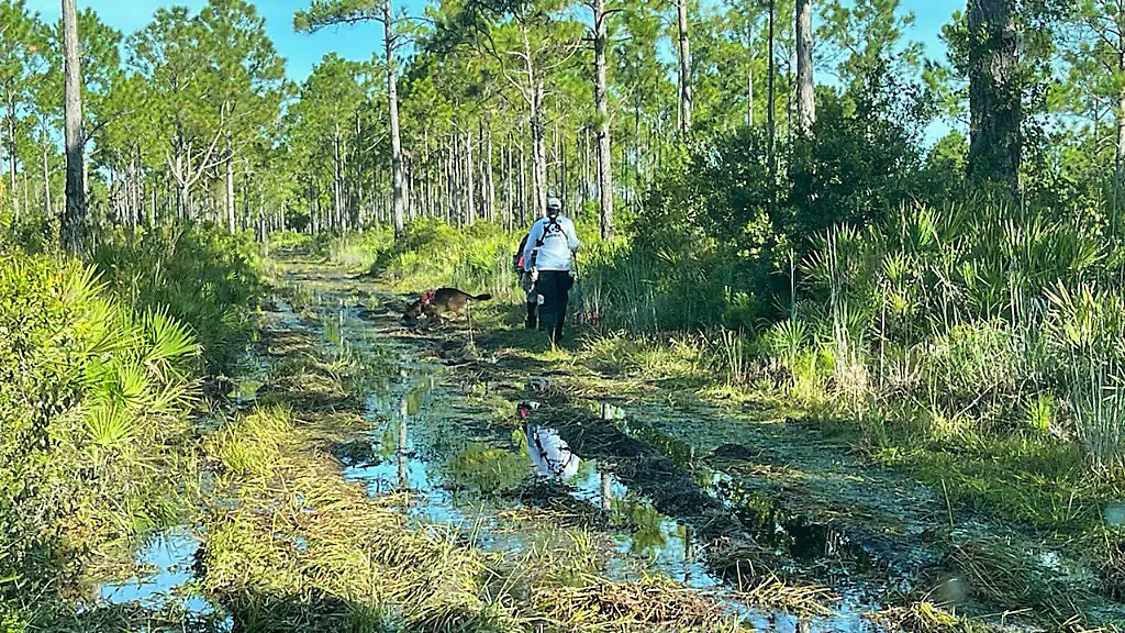 bd72363a5775e005d012af9603a86b80