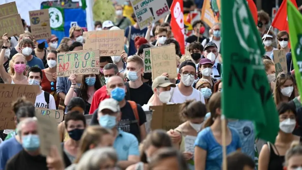 Zahlreiche-Demonstranten-bei-einem-Klimastreik-von-Fridays-for-Future