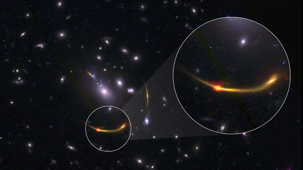 ACHTUNG-Frei-nur-im-Zusammenhang-mit-der-Berichterstattung-ueber-die-Studie