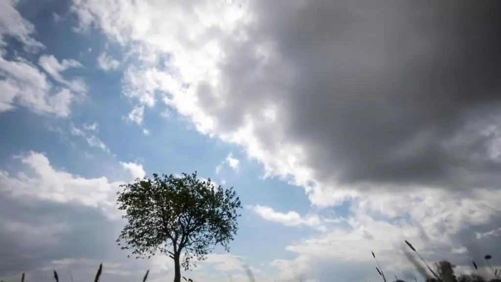 Dunkle-Wolken-ziehen-am-Himmel-ueber-einen-Baum-hinweg