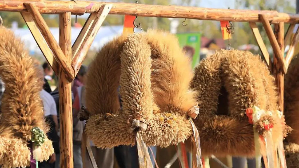 Erntekronen-haengen-beim-Landeserntedankfest-Sachsen-Anhalt-in-Magdeburg