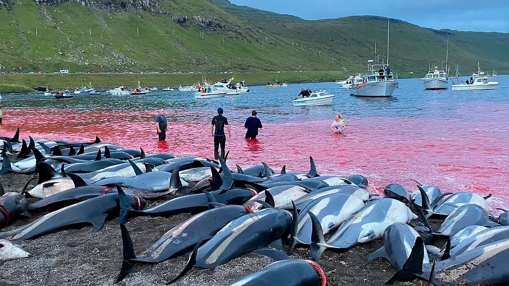 3617fbe330a49325391dfb2d67ea6a24