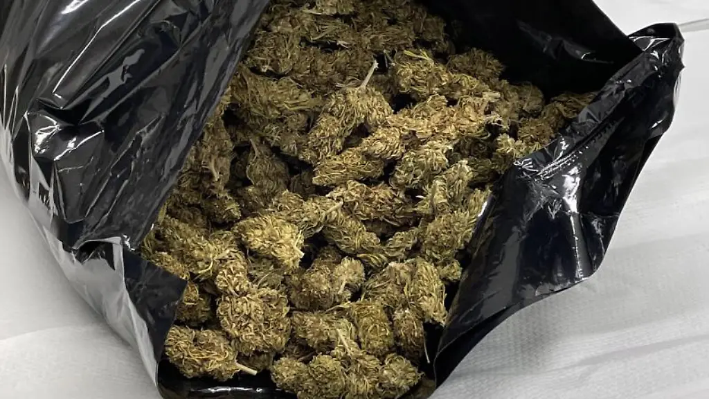 Die-Polizei-in-Duisburg-hat-insgesamt-100-Kilogramm-Rauschgift-vermutlich-Marihuana-sichergestellt