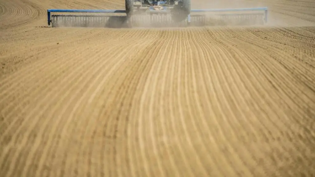 Eine-Anbauflaeche-wird-nach-der-Sojaeinsaat-nachverdichtet