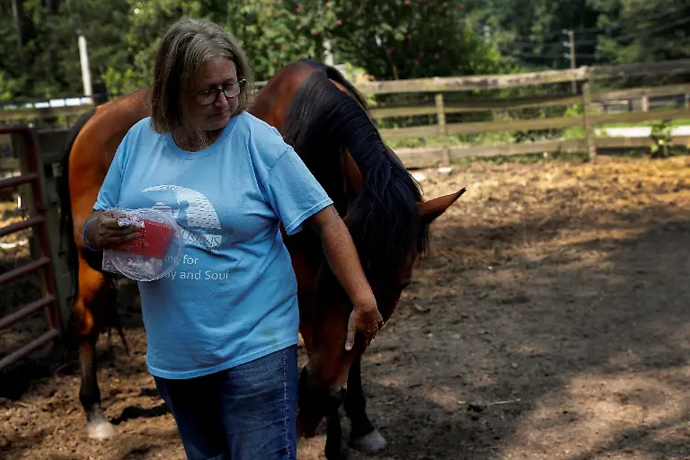 2021-09-09T103915Z-378173528-RC23DO9P67A7-RTRMADP-3-USA-SEPT11-WITNESS