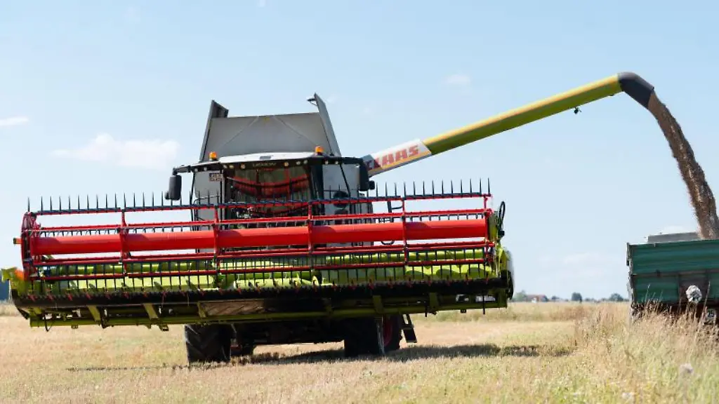 Ein-Maehdrescher-leert-Getreide-in-einen-Kipper