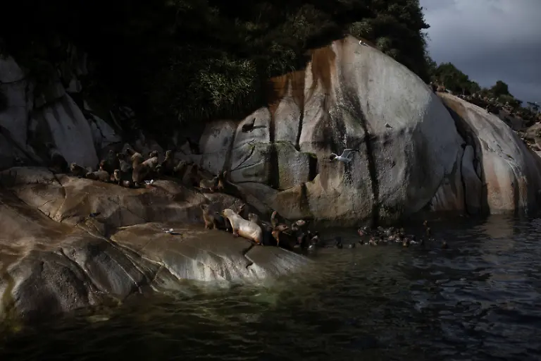 2021-08-07T000000Z-1187072094-RC2G0P9R8TQ5-RTRMADP-3-CHILE-TECHNOLOGY-SPACEX