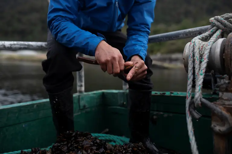 2021-08-07T000000Z-1058471348-RC2E0P9HME01-RTRMADP-3-CHILE-TECHNOLOGY-SPACEX