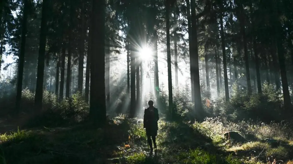 Ein-Spaziergaenger-steht-im-Wald-am-Kleinen-Feldberg-im-Taunus