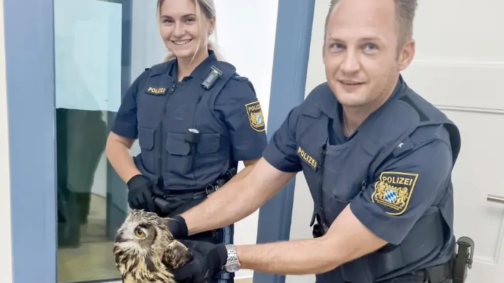 Ein-Polizist-haelt-einen-zuvor-geretteten-verletzten-Uhu