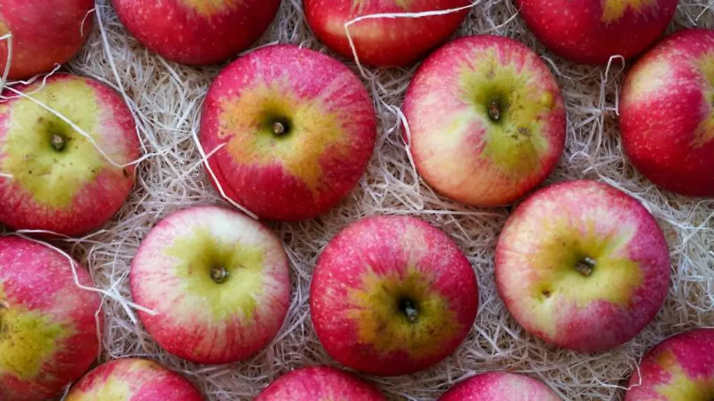 Aepfel-der-Sorte-Discovery-liegen-in-einer-Stiege