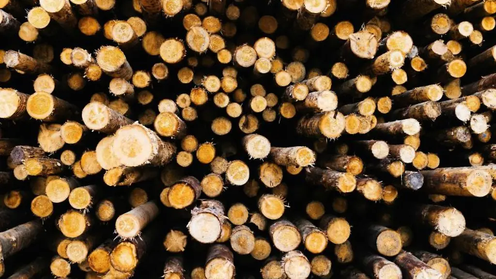 Entrindete-Baumstaemme-liegen-auf-dem-Rundholzplatz-auf-dem-Gelaende-eines-Saegewerks