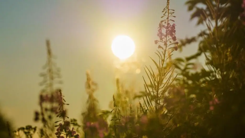 Die-Sonne-geht-ueber-dem-Feldbergplateau-auf