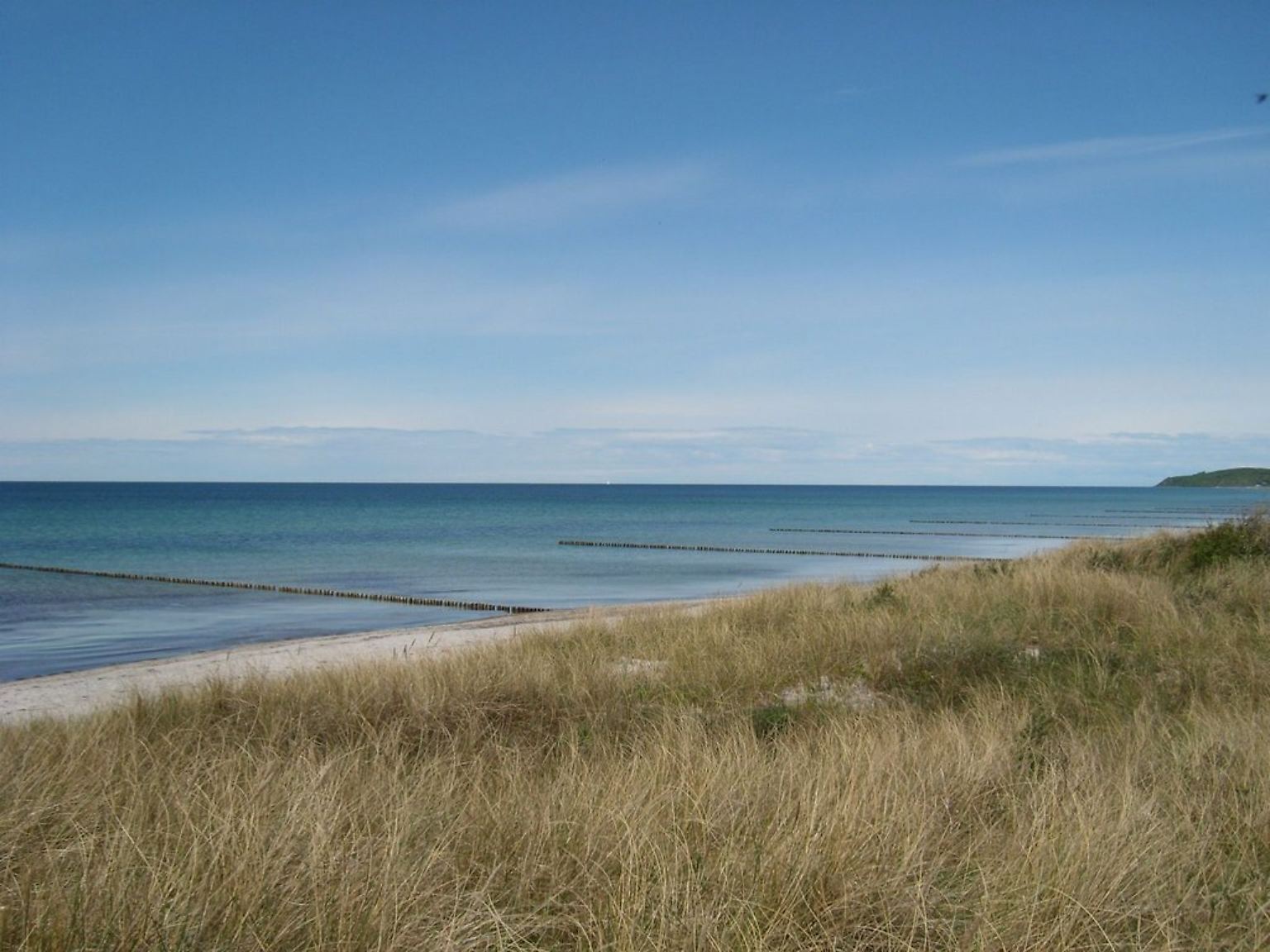 Von der schönen Ostseeinsel schwärmen Dichter, Maler und Schauspieler seit Jahrzehnten. Sie wurde von Nina Hagen besungen ("Hoch stand der Sanddorn am Strand von Hiddensee") … 